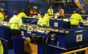 Recycling Line Sorting Image