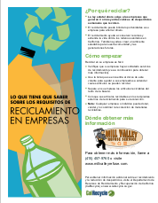 Business Recycling Flyer in Spanish