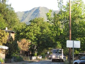 Street Sweeper in Mill Valley with Mt. Tam