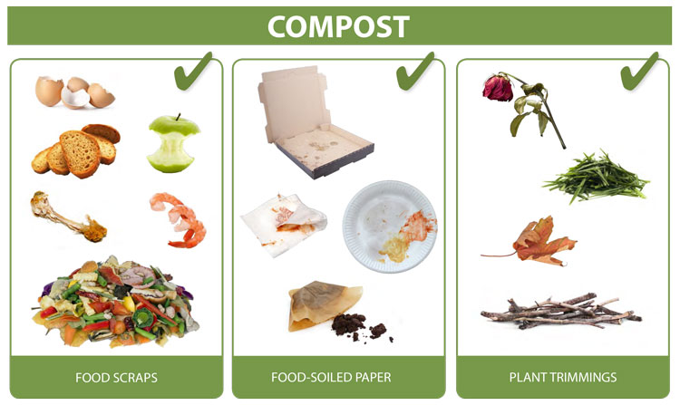 Green Cart Acceptable Items