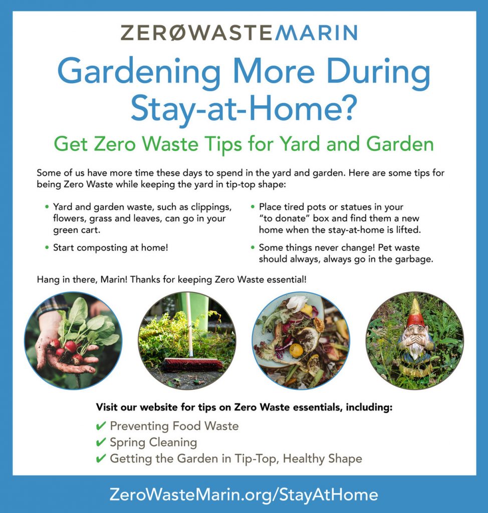 Gardening More During Stay-at-Home