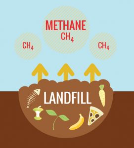 Methane Cause by Organics in Landfill