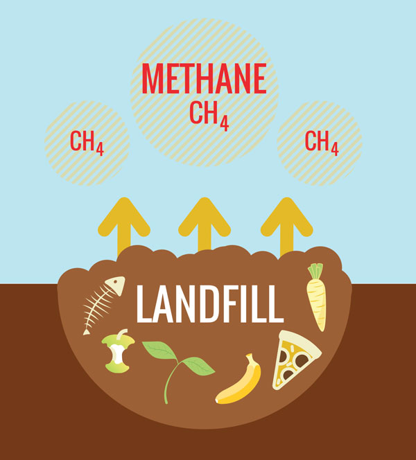 Graphic depicting how methane is created from landfill