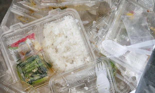 The Guardian Plastic Article